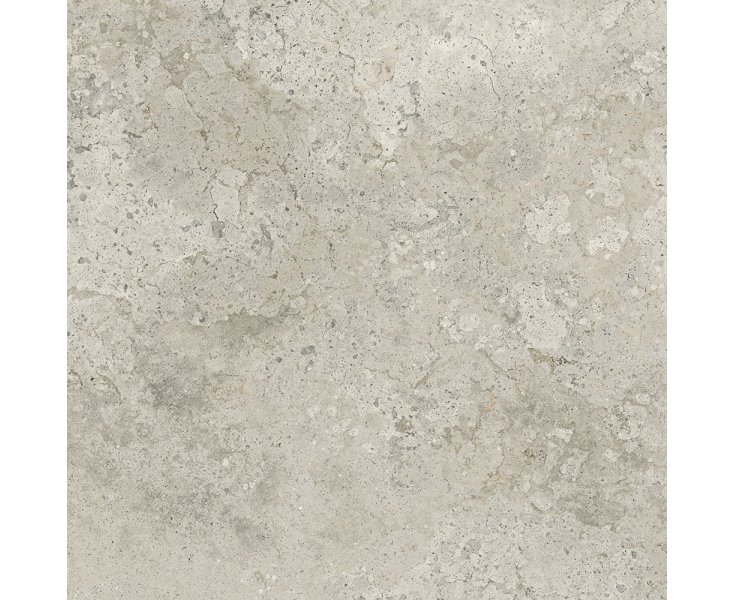 1821 GRAY POLISHED RECT. 98x98