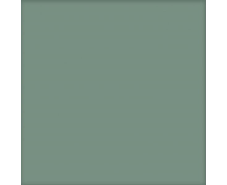 BASIC KALE 25x25