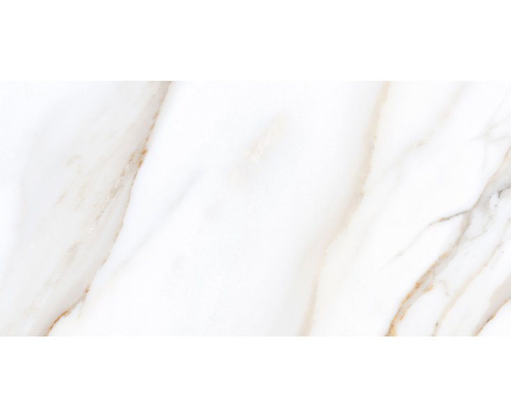 CALACATTA GOLD 45x90
