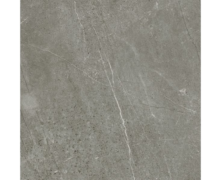 1817 TREVI GRAY RECT. 100x100