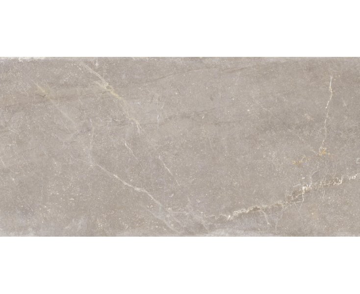 BLEUEMIX TAUPE NATURAL RECT. 60x120