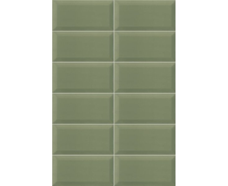 BISSELL GREEN OLIVE 10x20