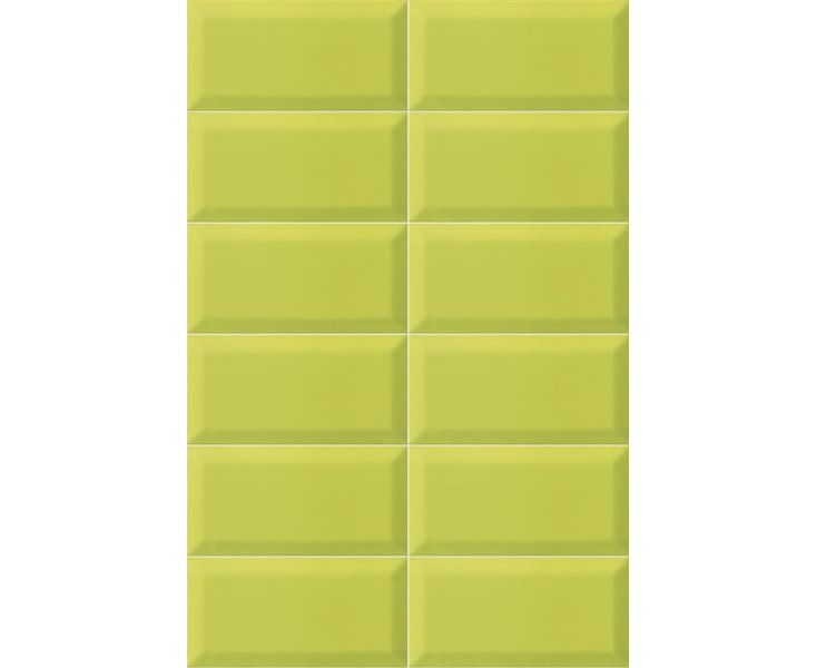 BISSEL AND GREEN 10x20