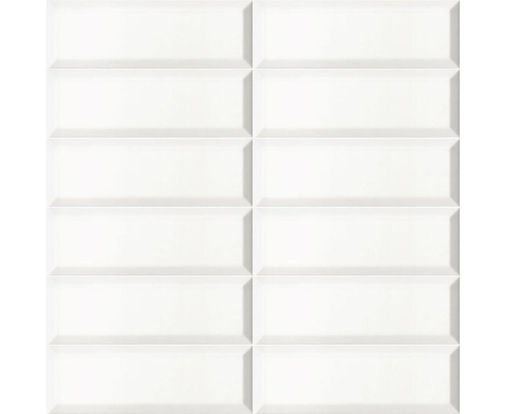 BISSEL BLANCO MATE 10x30