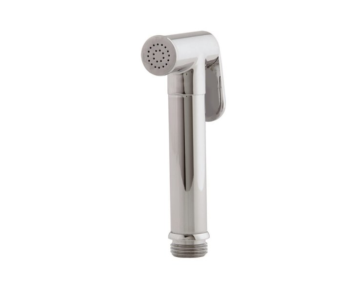 HANDHELD HAND SHOWER BRASS WC W/CHROME PUSH BUTTON