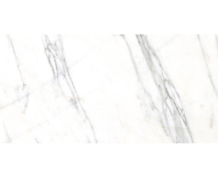 VERBIER-R POLISHED 59.3x119.3