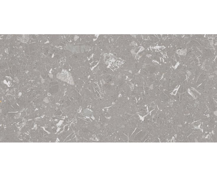 LUNA-R POLISHED GRAY 59.3x119.3