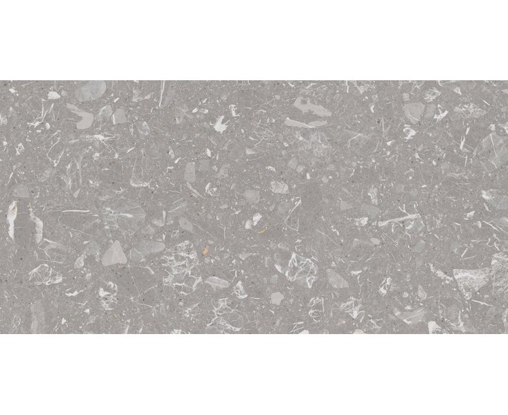LUNA-R GRAY 60x120