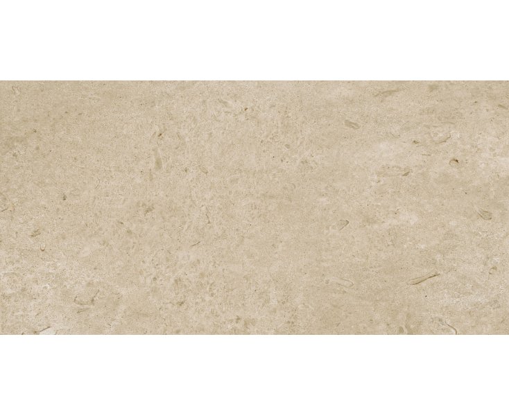 ETERNA GREIGE RECTIFIED 60x120