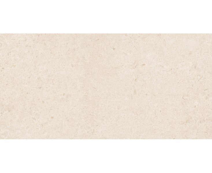 ETERNAL WHITE RECTIFIED 60x120