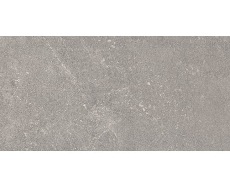 PIAZEN ASH MATE 30x60 ​