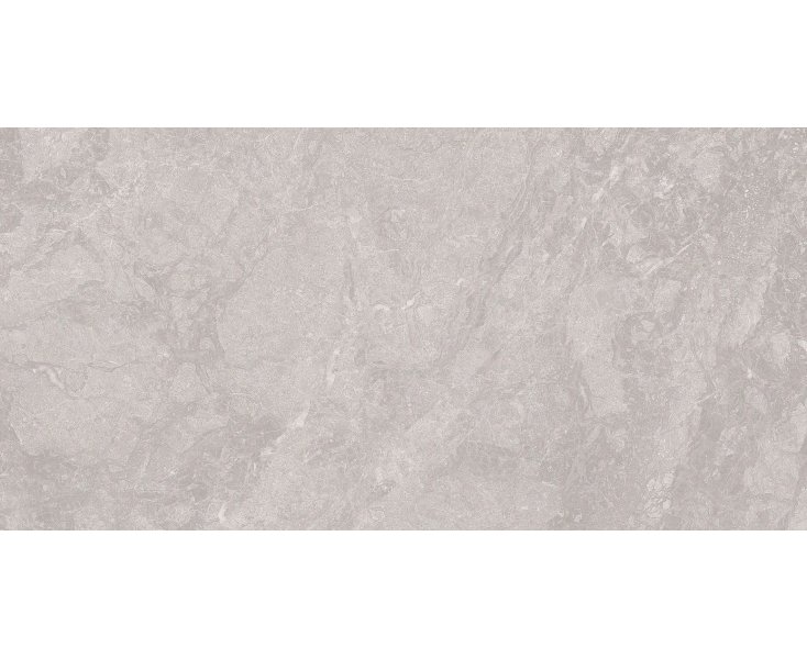 TITANIUM SILVER MATTE RECT. 60x120 ​