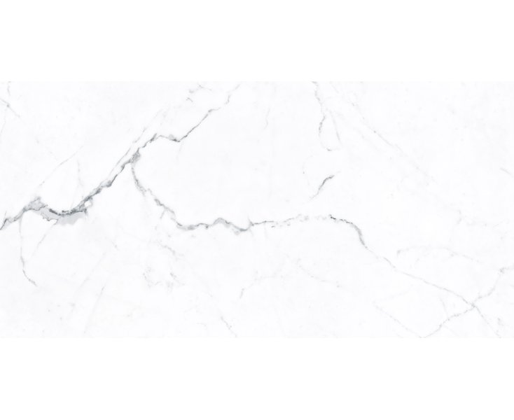 IDYLLIC STATUARY WHITE STARLIGHT RECT. 60x120