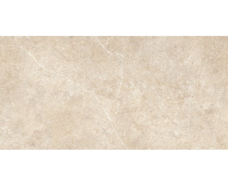 REALSTONE ARGENT SABBIA PTV-C2 RECT. 60x120