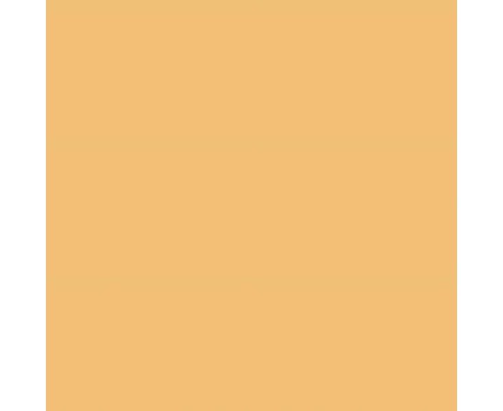 MUSTARD C-2 20x20
