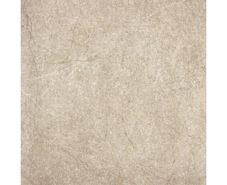 JASPER NUT NATURAL RECT. 100x100