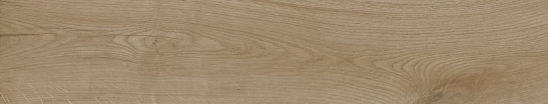 OLAND HONEY C1 23x120  