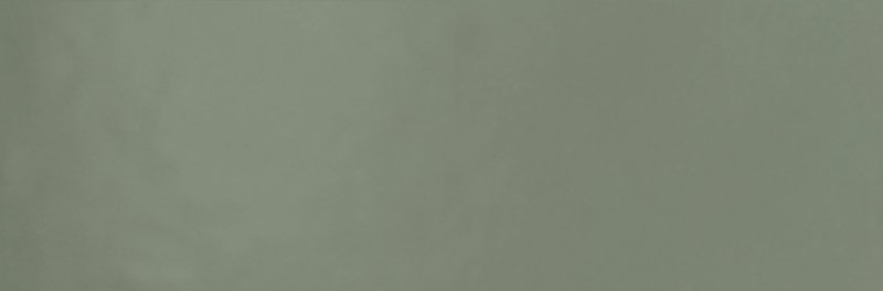 LIV'IN OLIVE GREEN RECT. 30x90x1.17