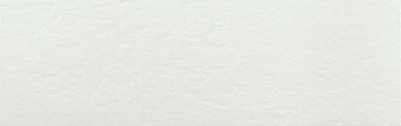 TEX WHITE 31x98