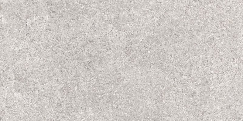 TIBET PEARL NATURAL C2 RECT. 60x120