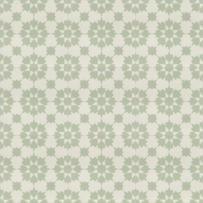 INFUSION ORNELAS C2 20x20