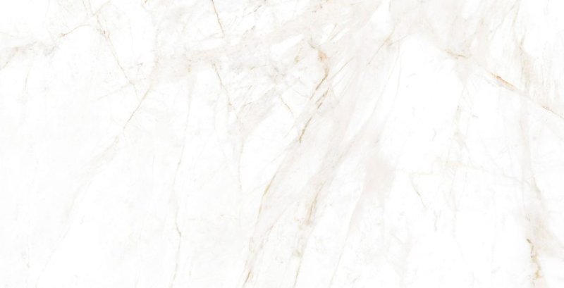 SPIDER GOLD NATURAL 32x62.5
