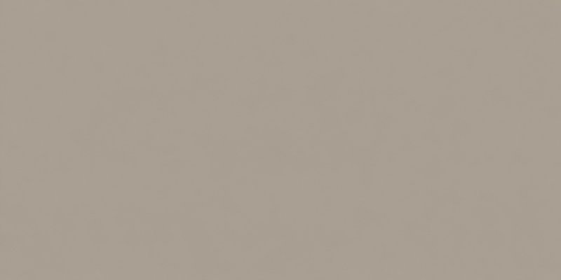 INDUSTRIAL CINZA CLARO NATURAL 11.7x24x1.2
