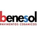 BENESOL